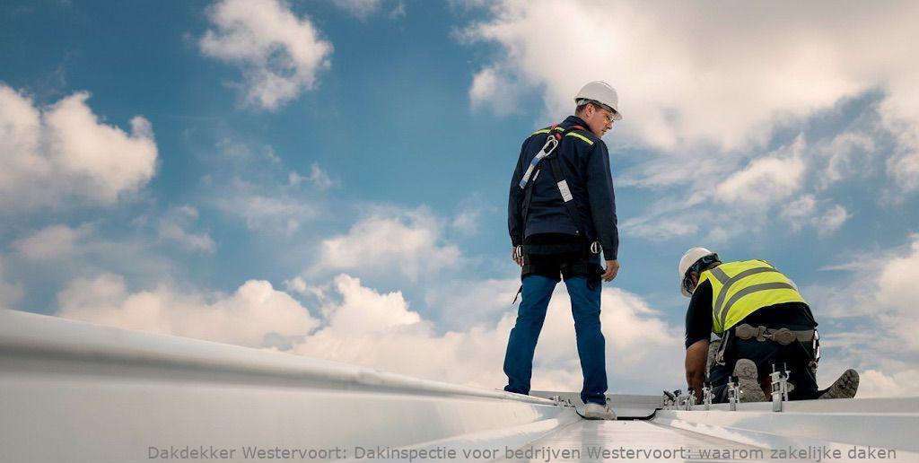 Dakinspectie Voor Bedrijven Westervoort