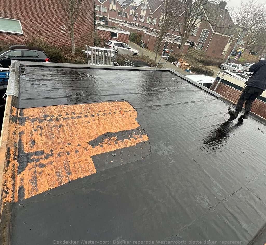 Dakleer Reparatie Westervoort
