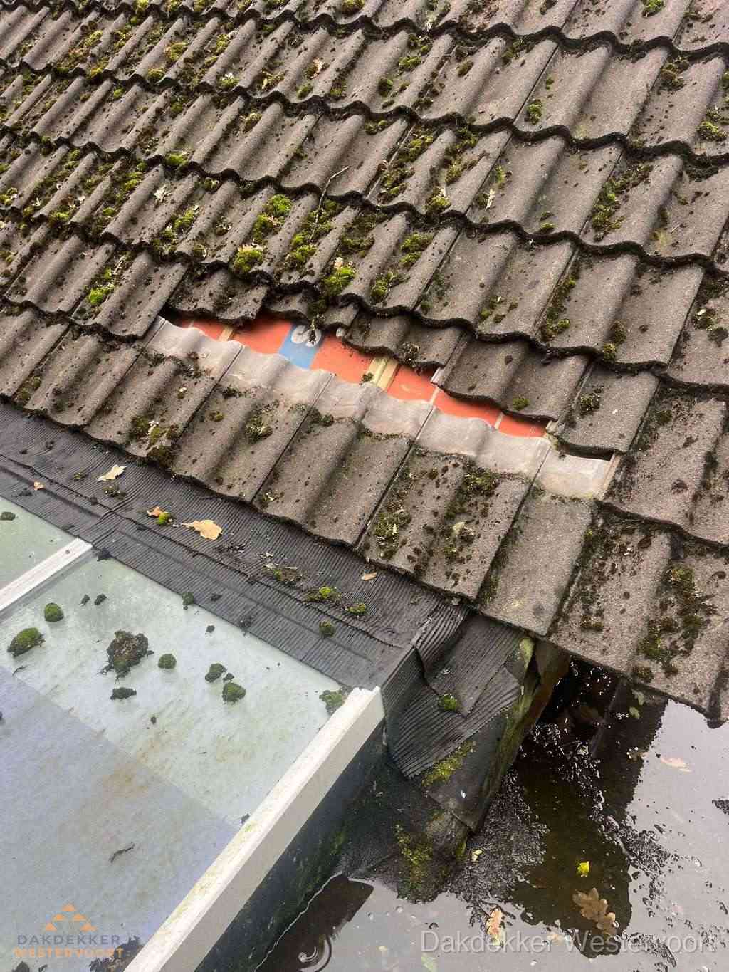 Dakpannen Repareren Westervoort