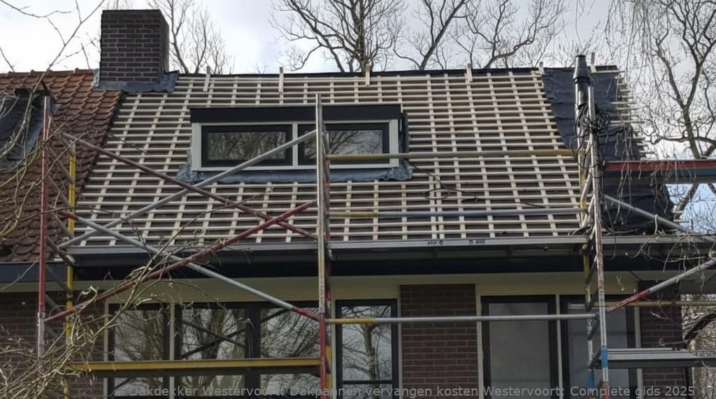 Dakpannen Vervangen Kosten Westervoort