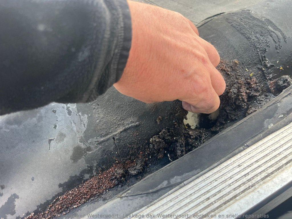Lekkage Plat Dak Westervoort 1