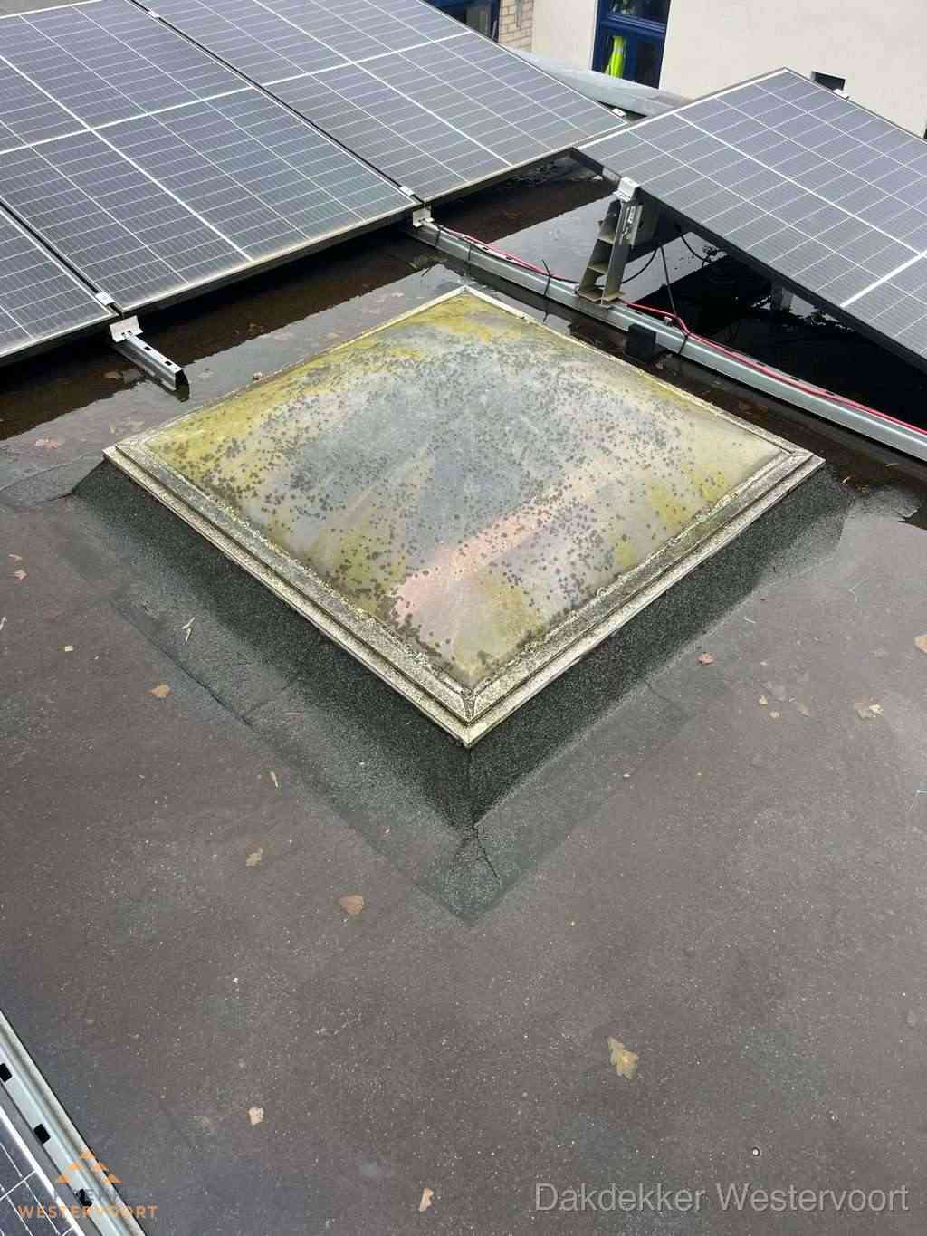 Opsporen Daklekkage Westervoort