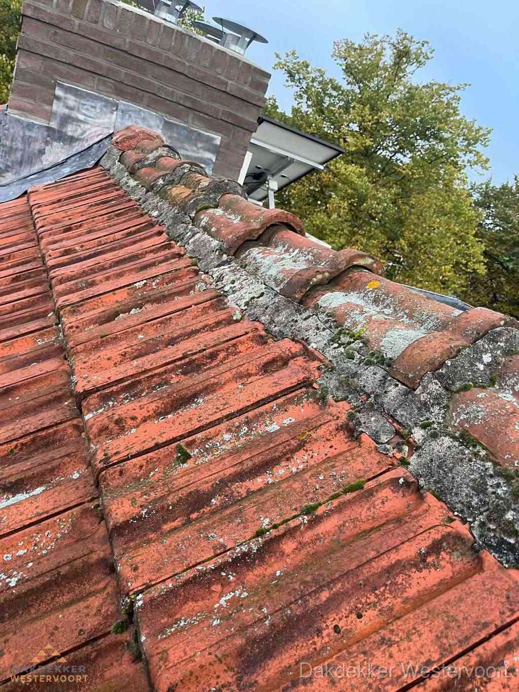 Renovatie Hellend Dak Westervoort