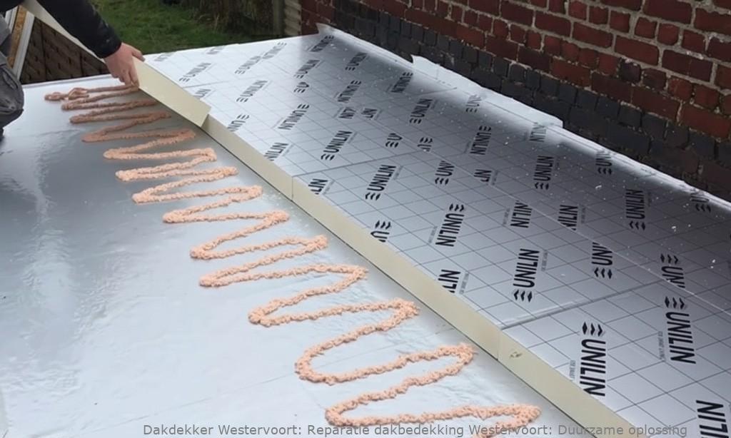Reparatie Dakbedekking Westervoort