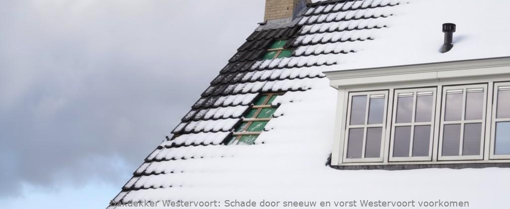 Schade Door Sneeuw En Vorst Westervoort