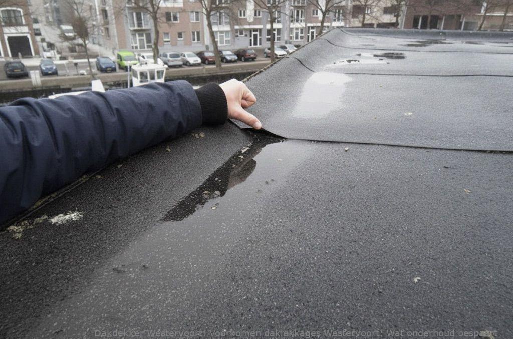 Voorkomen Daklekkages Westervoort