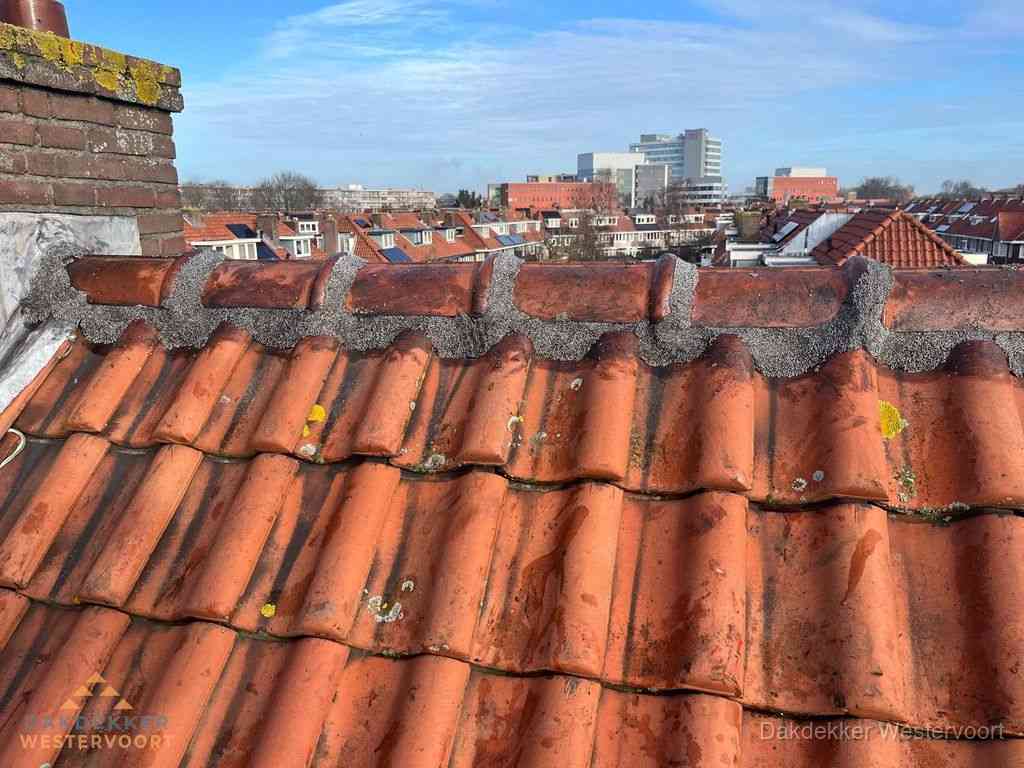 Westervoort Daken Renoveren